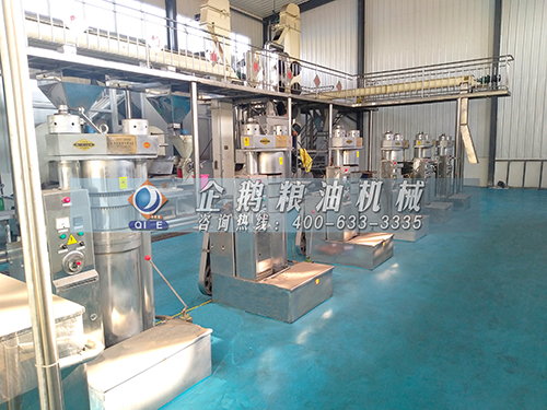 全自動榨油機生產(chǎn)線